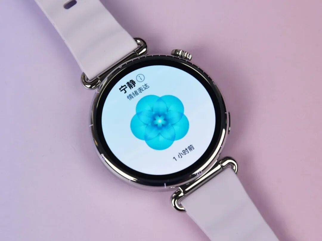 评测：2千元档位最值得买的智能手表华为WATCH GT 6系列综合(图10)