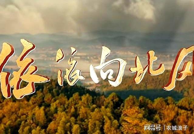 评一片！观众的理由竟出奇的一致好家伙《依依向北风》刚开播就差(图2)